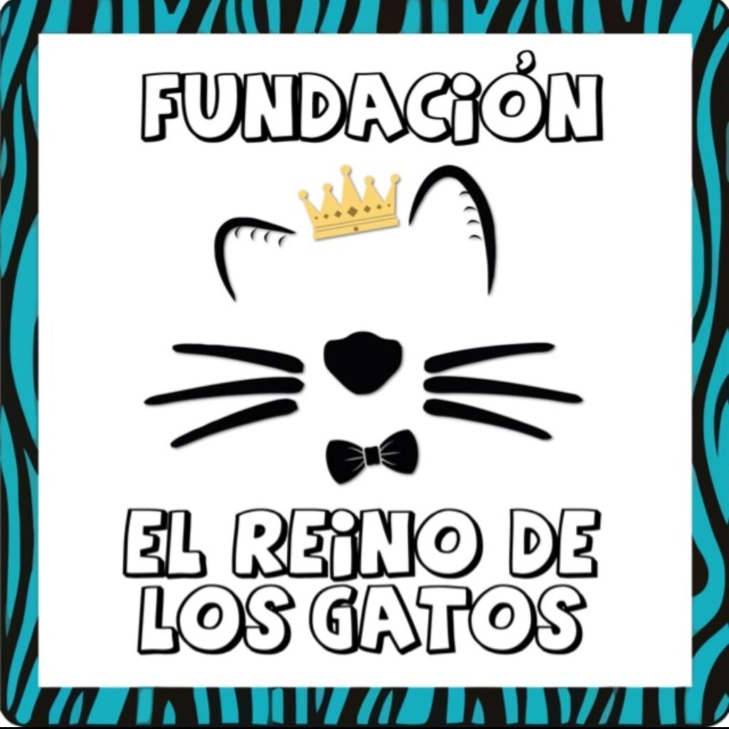 el reino de los gatos, fundacion que protege a los gatos en facatativa